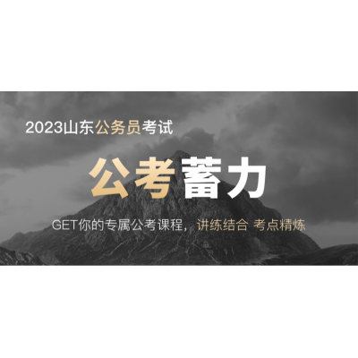 国企央企进阶精英护航—名师班231